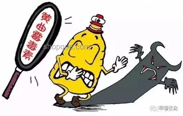 学校围墙倒塌致祖孙二人身亡：责任界定与预防措施深度分析
